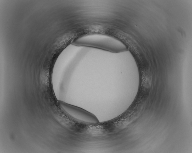 X0000110680403200907101132