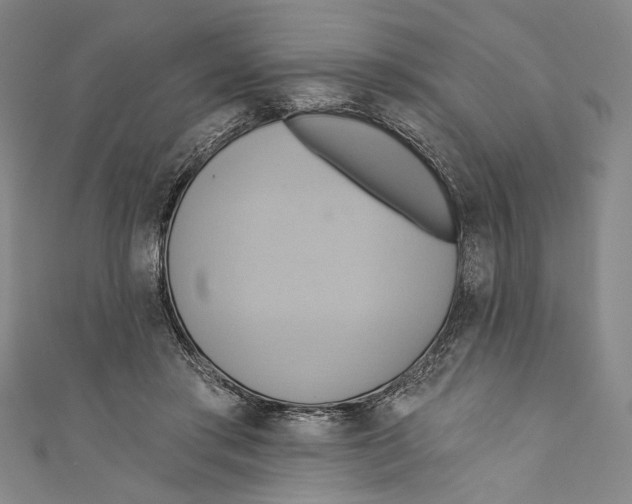 X0000110680405200907101132