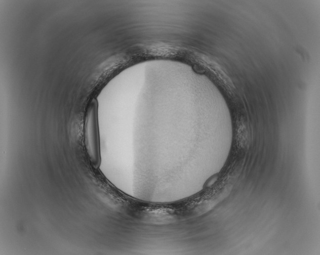X0000110680407200907101132