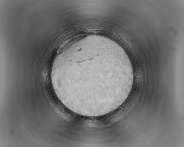 X0000110680408200907101131
