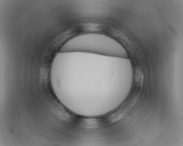 X0000110680409200907101131