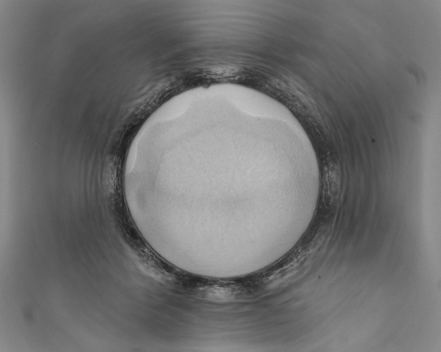 X0000110680412200907101131