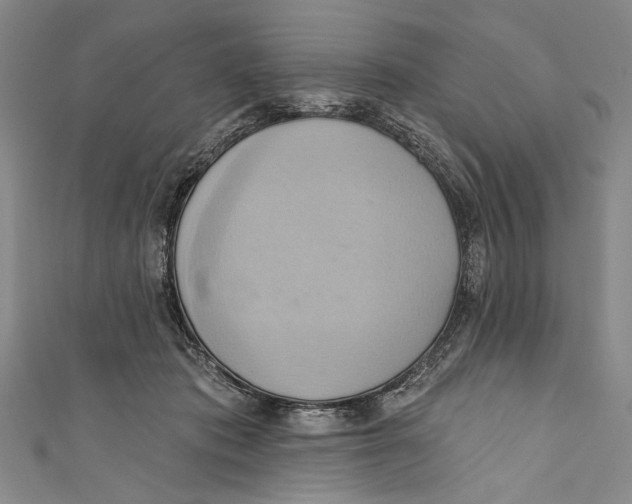 X0000110680413200907101131
