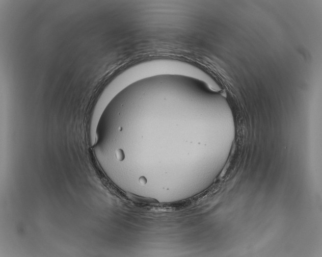 X0000110680415200907101131