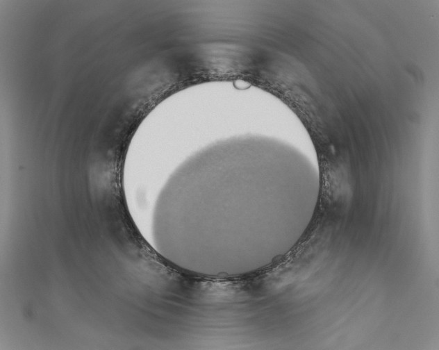 X0000110680419200907101131