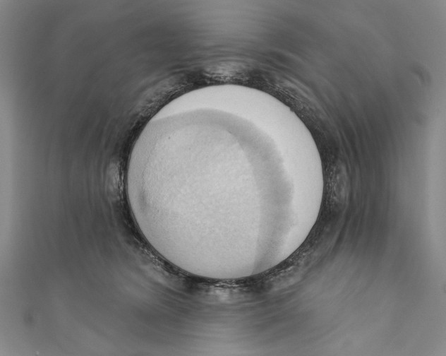 X0000110680420200907101131