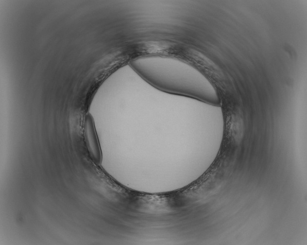 X0000110680421200907101131