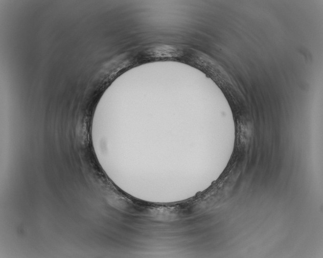 X0000110680422200907101131