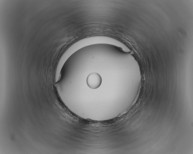 X0000110680423200907101131