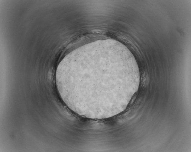 X0000110680424200907101131