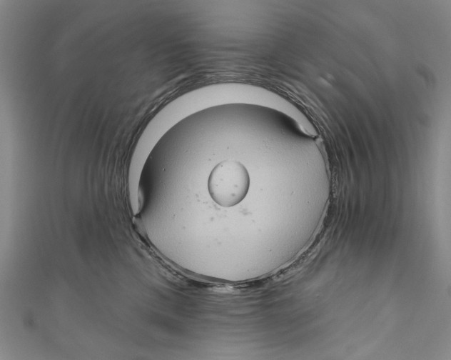 X0000110680425200907101131