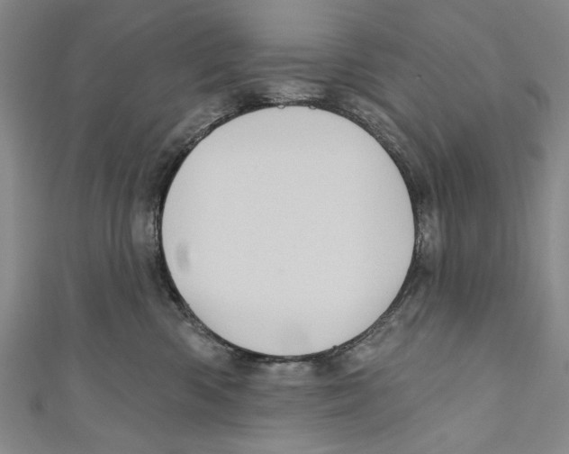 X0000110680426200907101131