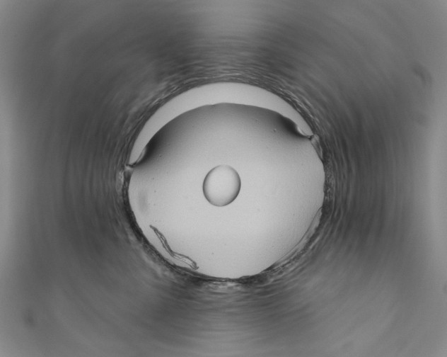 X0000110680427200907101131