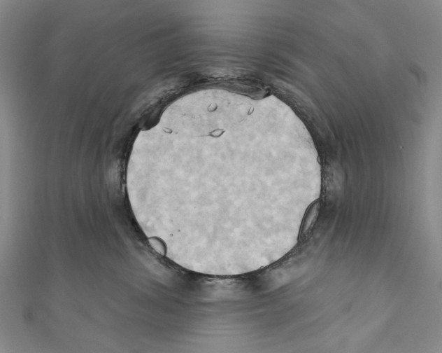 X0000110680428200907101131