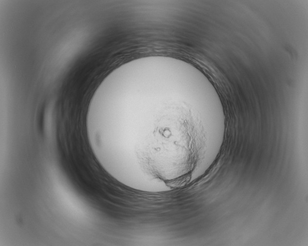 X0000110680429200907101131