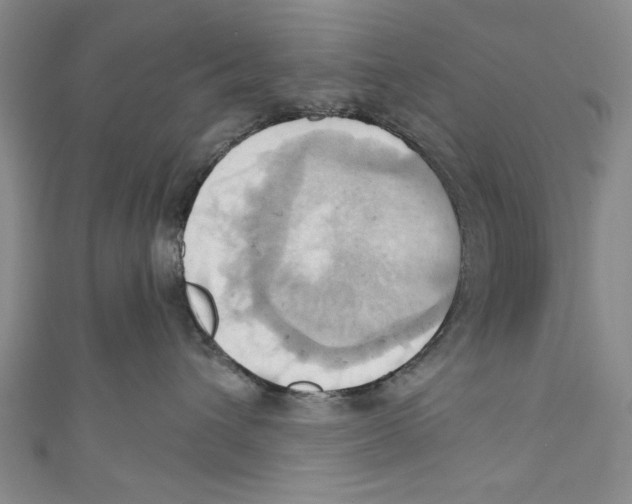 X0000110680432200907101131