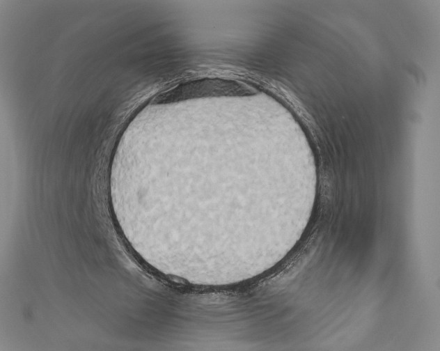 X0000110680433200907101131