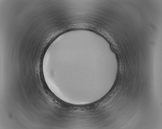 X0000110680434200907101131