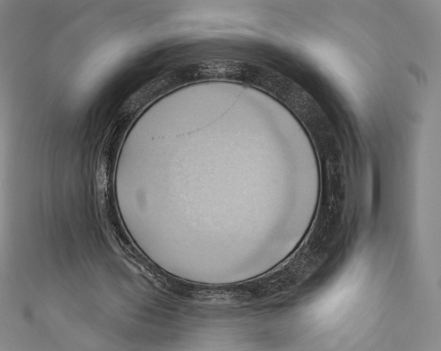 X0000110680435200907101131