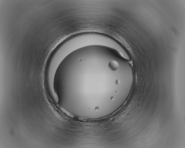 X0000110680436200907101131