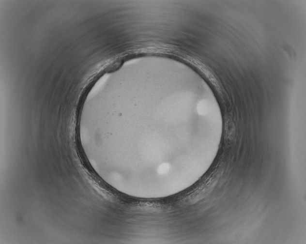 X0000110680437200907101131