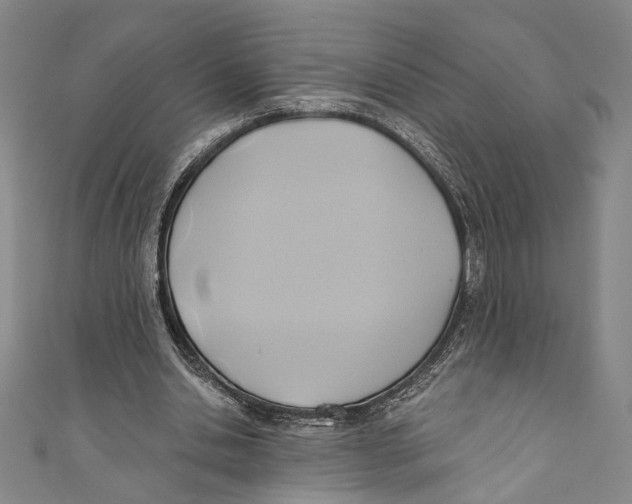 X0000110680438200907101131