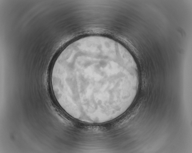 X0000110680439200907101131