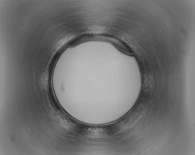 X0000110680440200907101131