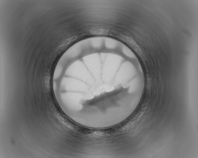 X0000110680441200907101131