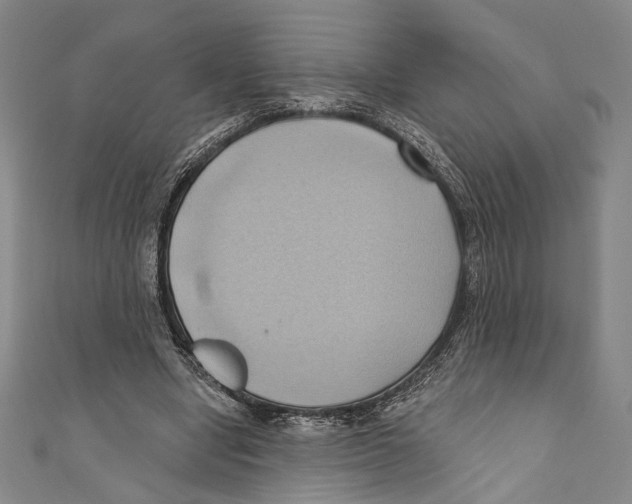 X0000110680442200907101131