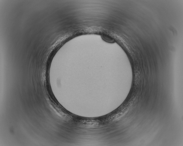 X0000110680443200907101131