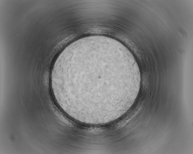 X0000110680445200907101131