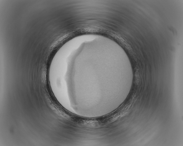 X0000110680446200907101131