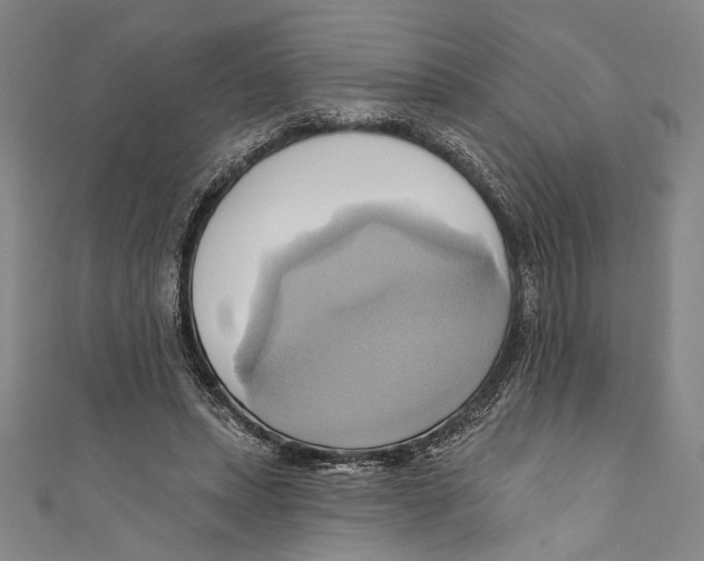 X0000110680447200907101131
