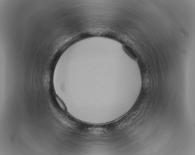 X0000110680448200907101131