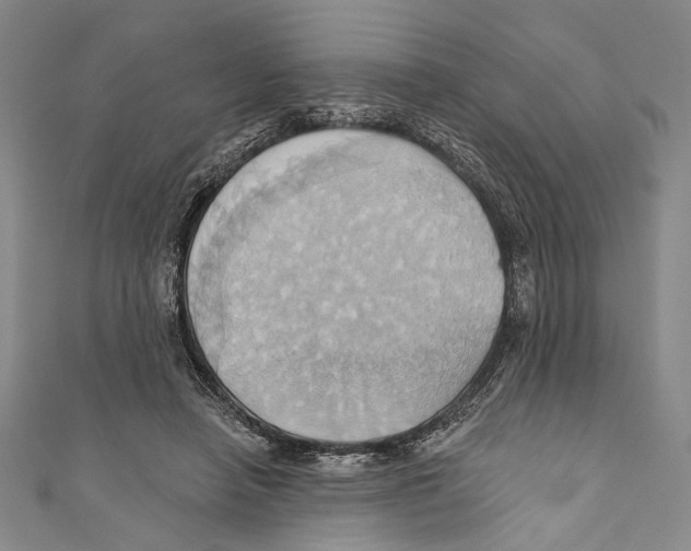 X0000110680450200907101131