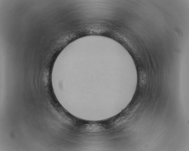 X0000110680451200907101131