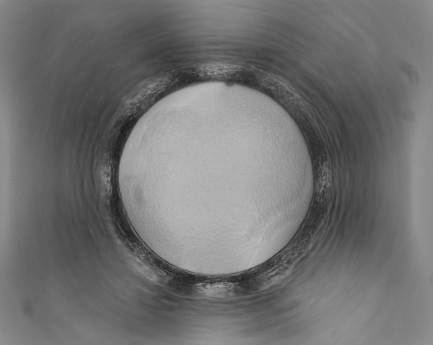 X0000110680452200907101131