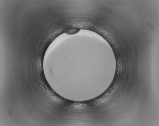 X0000110680453200907101131