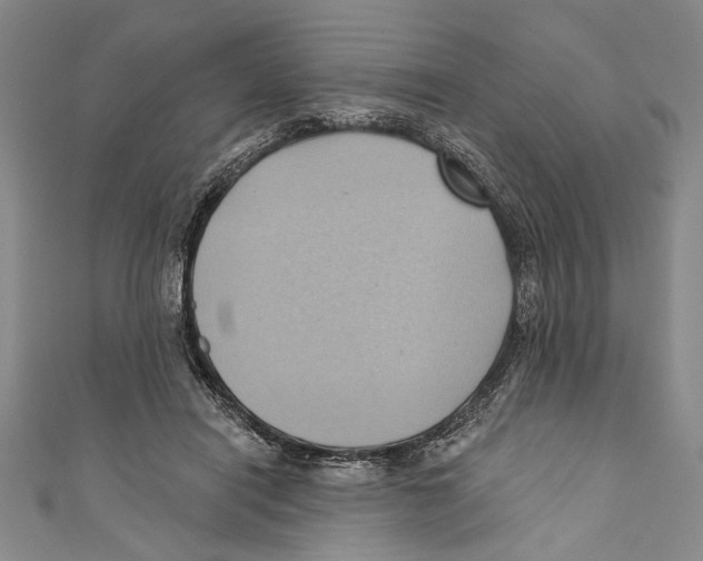 X0000110680454200907101131
