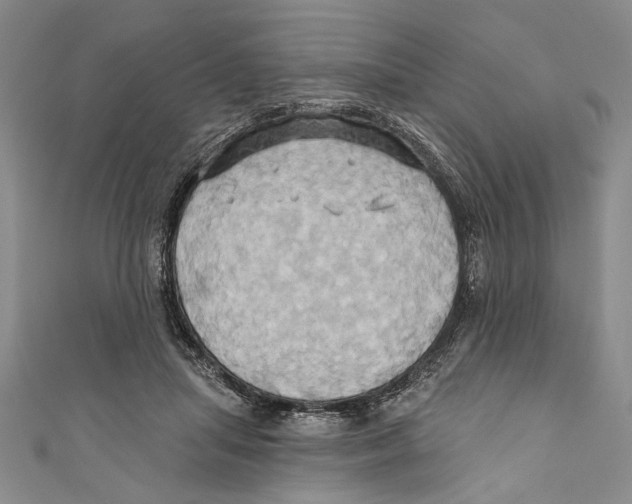 X0000110680455200907101131