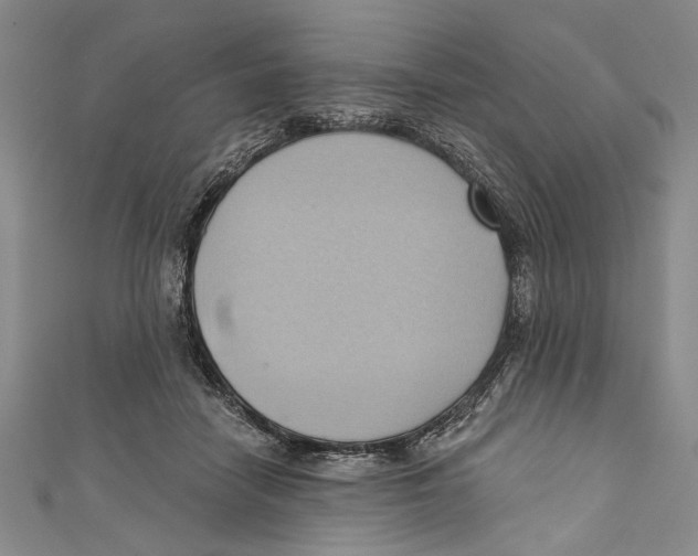 X0000110680458200907101131