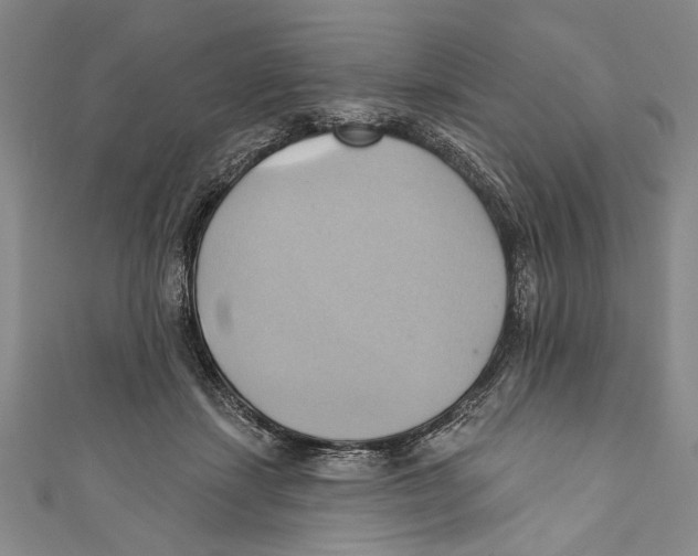 X0000110680459200907101131