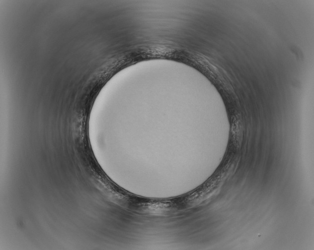 X0000110680462200907101131