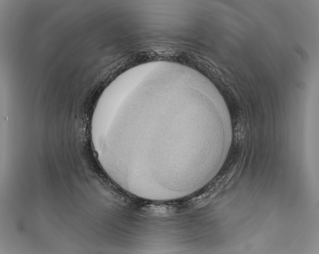 X0000110680464200907101131