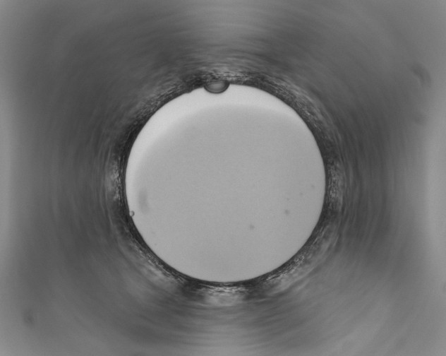 X0000110680465200907101131