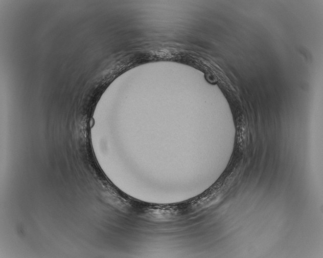 X0000110680466200907101131