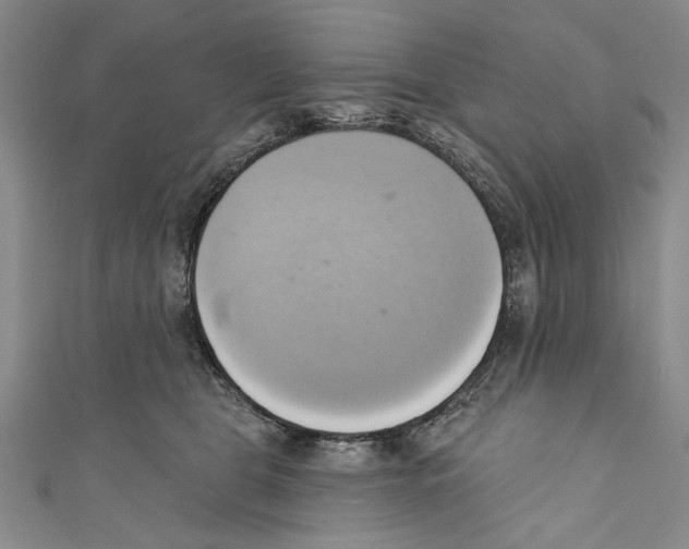 X0000110680469200907101131