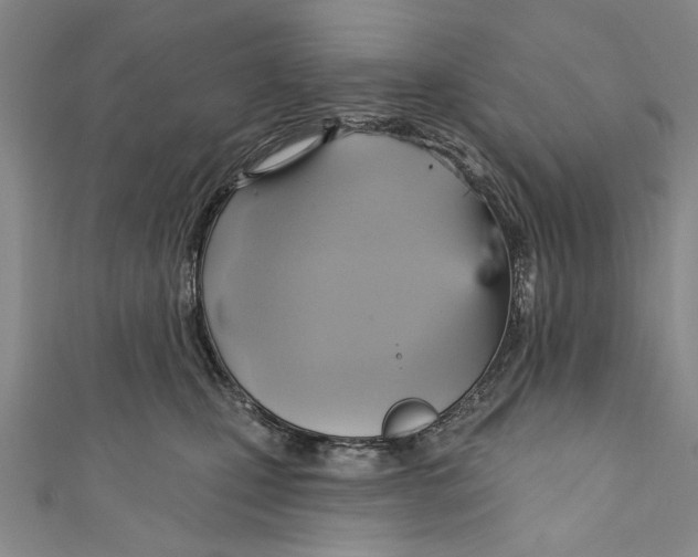 X0000110680471200907101131
