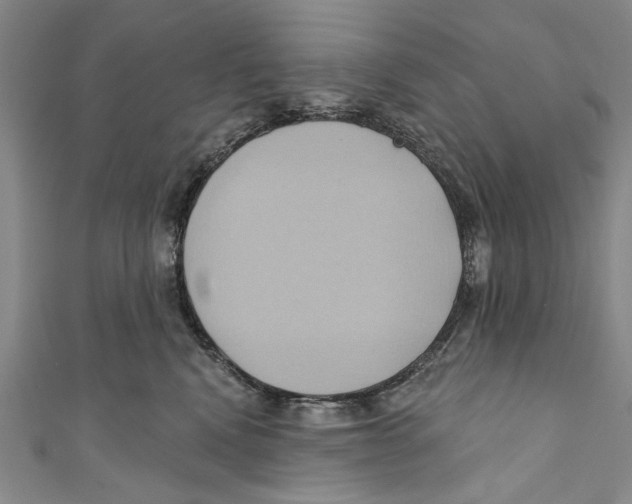 X0000110680472200907101131